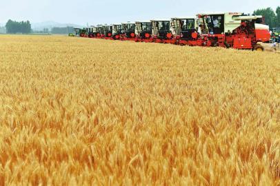 小麥收割預約APP開發 收割不用愁