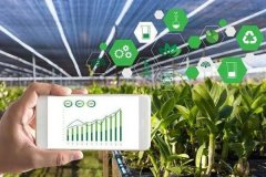 農業管理app開發制作幫助農民用科學的方式種植作物提高產量