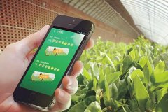 有機農產品app軟件定制讓用戶買到新鮮有機的果蔬